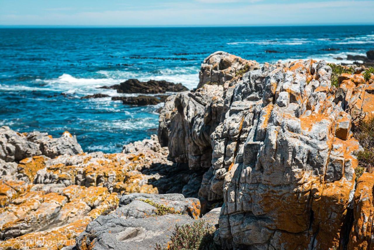 Schulphoek Seafront House Hermanus Exterior foto The coast of the park