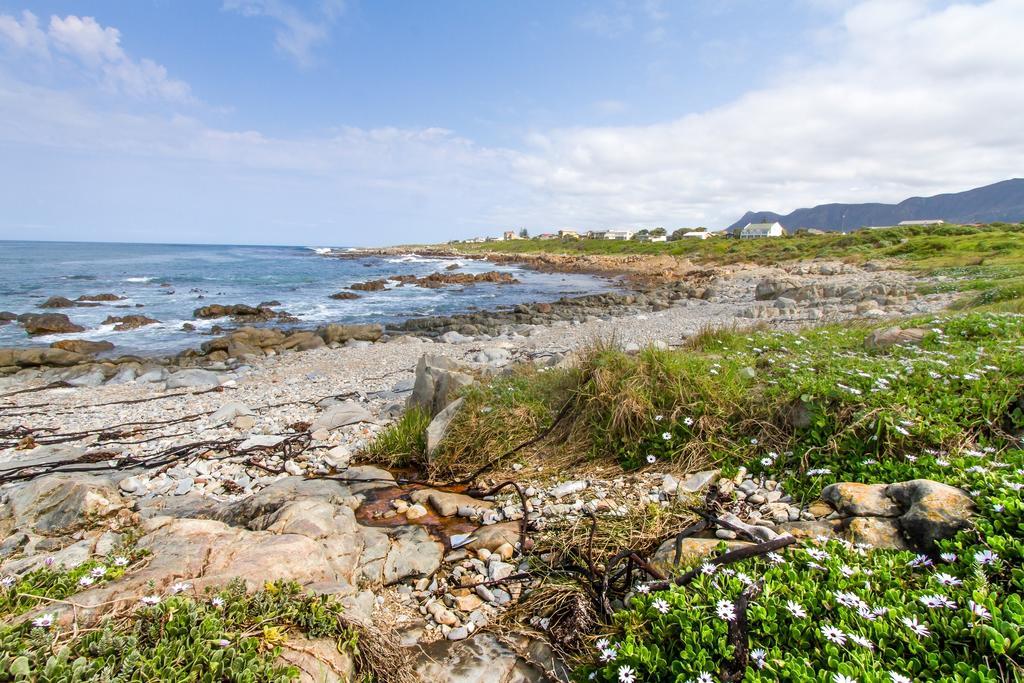 Schulphoek Seafront House Hermanus Exterior foto The coast of the island of Ons