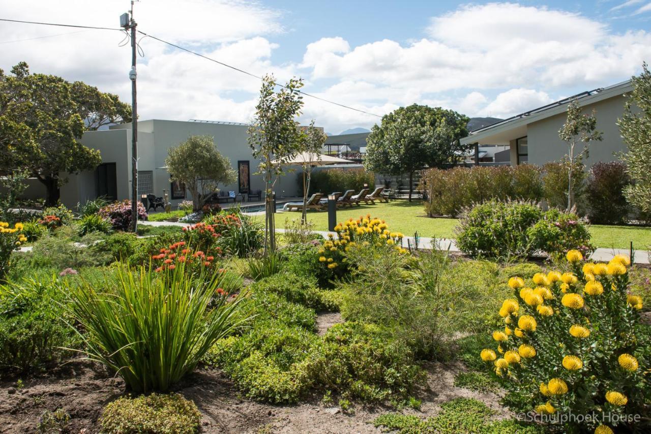 Schulphoek Seafront House Hermanus Exterior foto The courtyard at the school